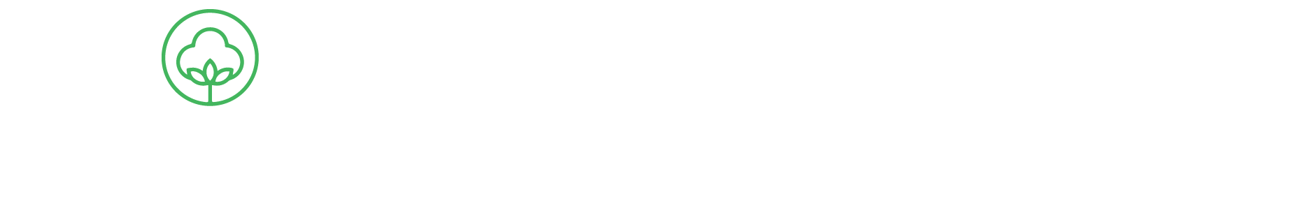 Biio Nexus Energy logo
