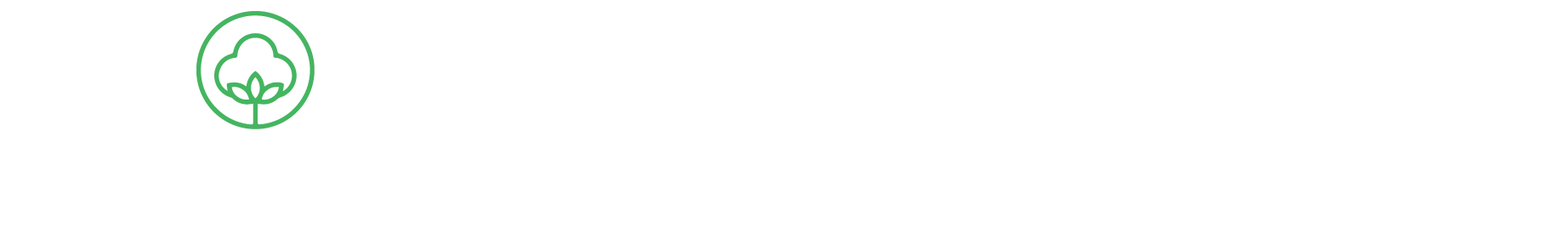 Biio Nexus Energy logo
